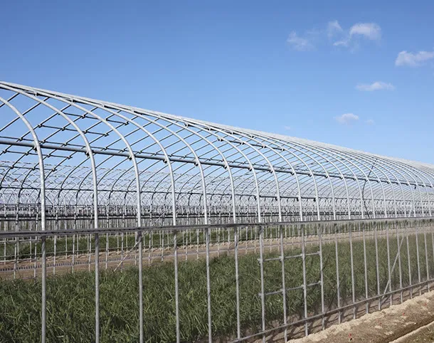 Green House Structures